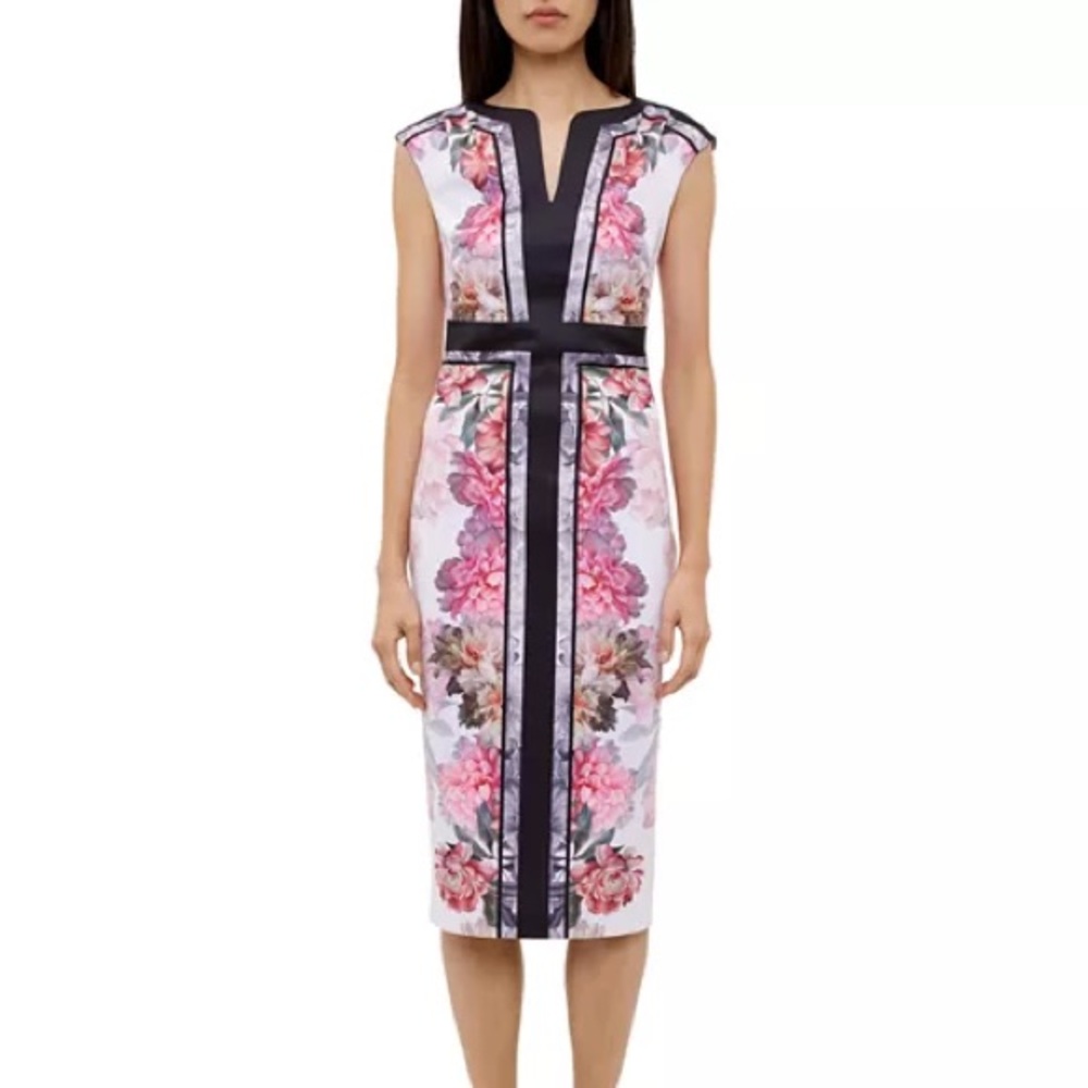 Ted Baker Shawnie dress